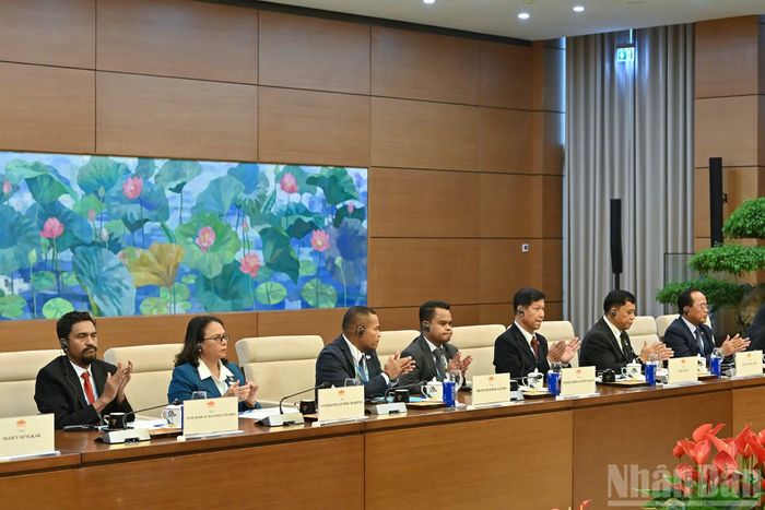 Lãnh đạo các Thành phố ASEAN tại cuộc tiếp.