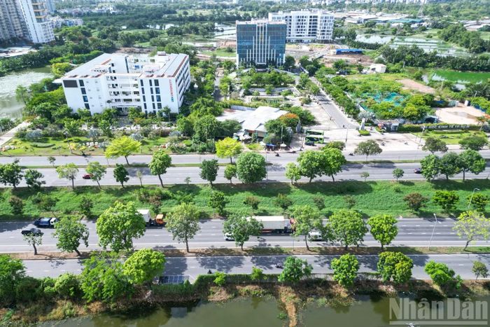Đại lộ Nguyễn Văn Linh cũng giữ vai trò kết nối cửa ngõ miền Tây, góp phần thúc đẩy phát triển hạ tầng, kinh tế và du lịch giữa Thành phố Hồ Chí Minh với các tỉnh Đồng bằng sông Cửu Long. Tuyến đường đi qua nhiều cơ sở giáo dục của phía tây của thành phố.