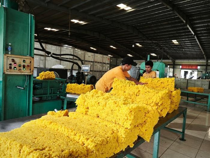 Nhà máy chế biến mủ cao su của VRG tại Lào