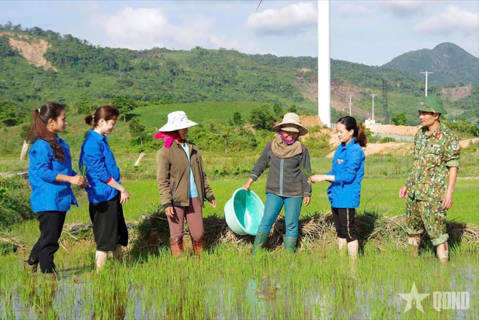 Hướng dẫn bà con kỹ thuật chăm sóc cây lúa nước.