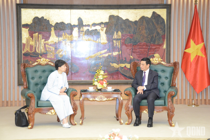 Phó thủ tướng Chính phủ, Bộ trưởng Bộ Quốc phòng Phan Văn Giang trao đổi với Phó tổng Thư ký LHQ Izumi Nakamitsu tại cuộc tiếp. 