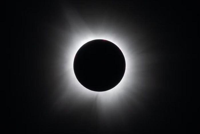 Nhật thực toàn phần tại Dallas ngày 8/4/2024. Ảnh: Keegan Barber/NASA.