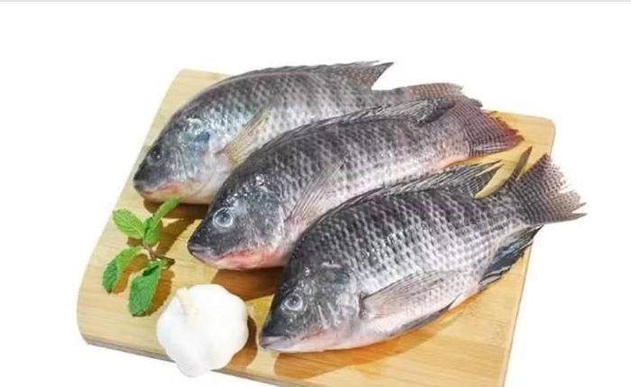 Xuất khẩu cá rô phi Việt sang Brazil tăng trưởng mạnh.