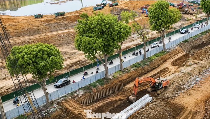  Dưới góc độ chuyên môn, anh Phạm Tuấn Minh, kiến trúc sư đô thị, cho rằng trong các dự án hạ tầng hiện đại, không gian xanh cần được xem là một cấu phần quan trọng của thiết kế chứ không phải yếu tố phụ trợ. Theo anh Minh, ngay từ giai đoạn lập quy hoạch và thiết kế kỹ thuật, chủ đầu tư cần khảo sát kỹ hiện trạng cây xanh, đánh giá giá trị cảnh quan, môi trường của từng khu vực để đưa ra các giải pháp bảo tồn phù hợp. Ảnh những thân cây cổ thụ khi chưa bị chặt hạ. 