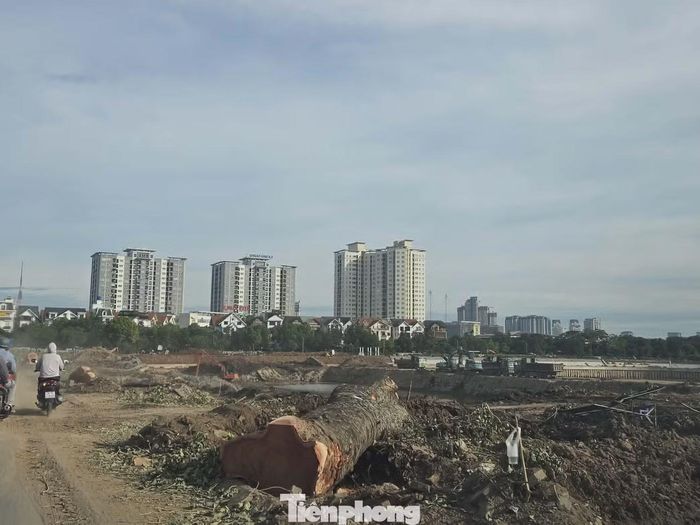 Khởi công từ đầu tháng 2 năm 2026, dự án hiện đã bước vào giai đoạn nước rút. Theo thiết kế, khi hoàn thành và đưa vào sử dụng, hồ điều hòa Đồng Bông 2 sẽ đóng vai trò hồ chứa điều tiết quan trọng của khu vực phía Tây Hà Nội. Công trình không chỉ giúp giảm tải cho hệ thống thoát nước hiện hữu mà còn kết nối với kênh dẫn và trạm bơm Đồng Bông, góp phần điều hòa dòng chảy, hạn chế nguy cơ ngập úng trong những trận mưa lớn.
