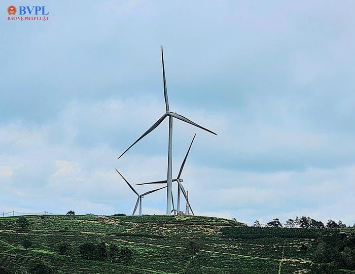 Công ty cổ phần Năng lượng Tái tạo Đại Dương được biết đến là chủ đầu tư điện gió Cầu Đất. (Ảnh: Xuân Trường).