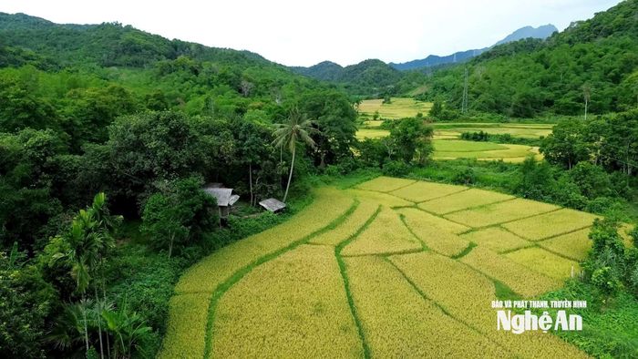 Một góc xã Tam Thái. Ảnh: Tiến Đông