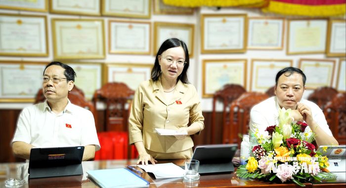 Đồng chí Thái Thị An Chung - Phó Trưởng đoàn chuyên trách Đoàn ĐBQH tỉnh kết luận buổi làm việc. Ảnh: Nguyễn Toàn