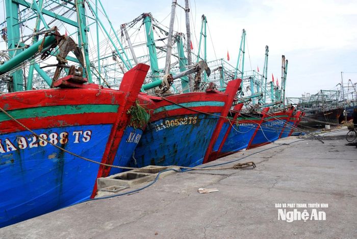 Tàu thuyền về bờ trú bão. Ảnh minh họa
