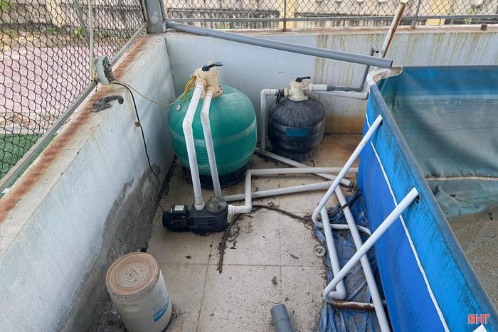 Nhà trường mong muốn được đầu tư nâng cấp công trình để học sinh có điều kiện học bơi an toàn.