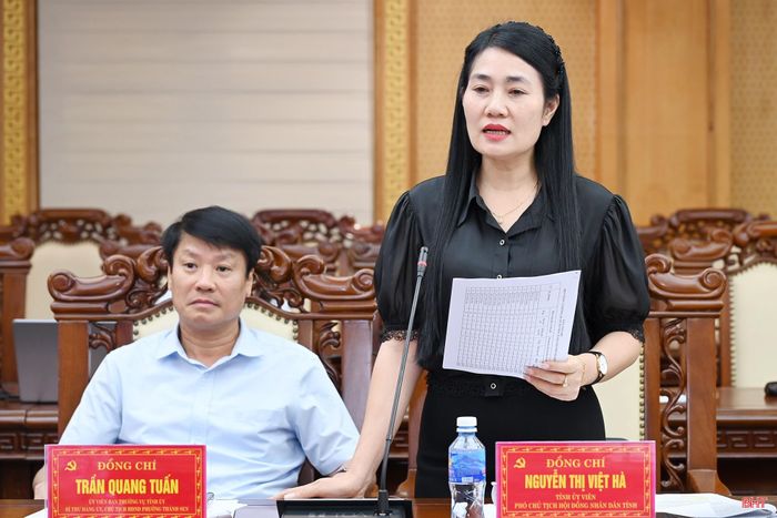  Phó Chủ tịch HĐND tỉnh Nguyễn Thị Việt Hà phát biểu tại cuộc họp. 