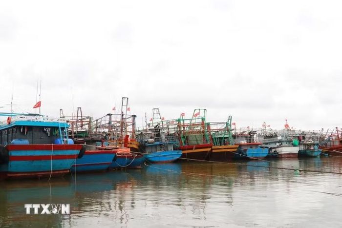 Ảnh minh họa. (Ảnh: Nguyên Lý/TTXVN)