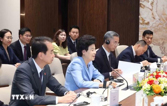 Đoàn đại biểu cấp cao Chính hiệp Toàn quốc Trung Quốc tại buổi tiếp. (Ảnh: Phương Hoa/TTXVN)