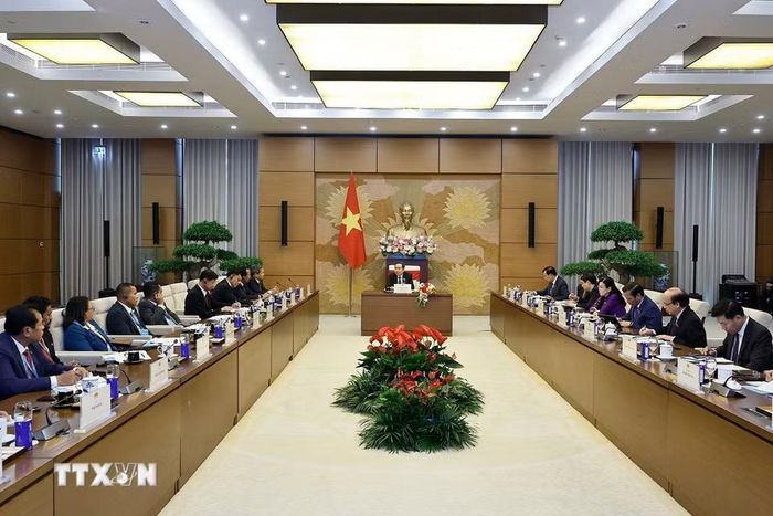 Chủ tịch Quốc hội Trần Thanh Mẫn tiếp Lãnh đạo các thành phố ASEAN. (Ảnh: Doãn Tấn/ TTXVN)