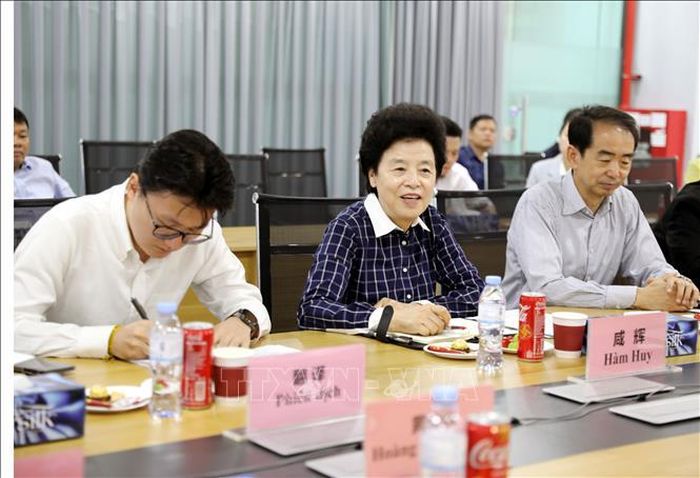 Phó Chủ tịch Chính hiệp toàn quốc Trung Quốc Hàm Huy phát biểu trong buổi làm việc tại Công ty TNHH BYD Việt Nam ở Khu công nghiệp Phú Hà, tỉnh Phú Thọ. Ảnh: Tạ Toàn/TTXVN