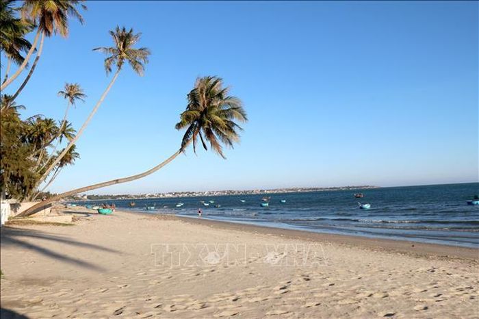 Mũi Né đang ngày càng khẳng định vị thế là một trong những điểm đến lướt ván diều hấp dẫn nhất châu Á. Ảnh: Nguyễn Thanh/TTXVN