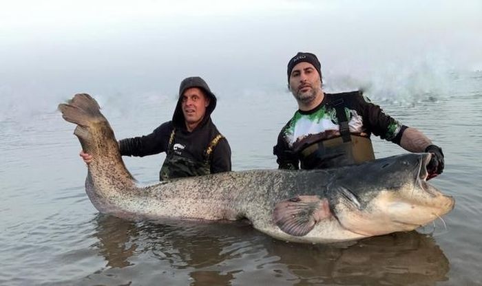 Paul Breems và Mohammed Massaoudi chụp ảnh cùng con cá trê.