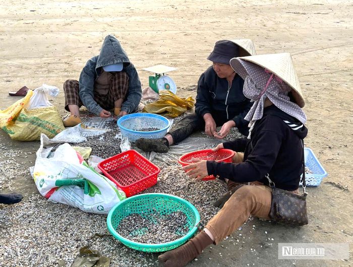 Sau khi đánh bắt, ốc cườm sẽ được người dân đãi, sàng sạch để loại bỏ hết vỏ. Công việc này chủ yếu là của phụ nữ. Sau khi sàng sạch họ bán cho lái thương với giá từ 30.000- 35.000 đồng/kg.