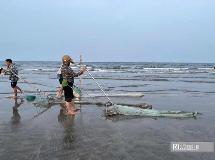 Bà Lê Thị Thúy (39 tuổi, trú phường Quỳnh Phương) cho biết, tranh thủ thời gian nông nhàn, vợ chồng bà ra biển cào từ sáng sớm đến chiều muộn, mỗi ngày có thể kiếm được từ 500.000 đồng đến 1 triệu đồng. "Số tiền này giúp gia đình trang trải cuộc sống và lo cho con cái học hành. Công việc khá vất vả vì phải kéo cào trên bãi cát ven biển, thường xuyên ngâm mình dưới nước. Tuy nhiên, sản phẩm đánh bắt được thương lái thu mua ngay tại chỗ nên chúng tôi rất phấn khởi, không phải lo đầu ra", bà Thúy chia sẻ.