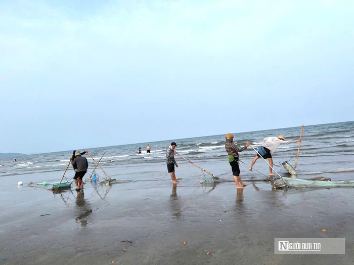 Chị Hà Thị Minh (35 tuổi) cho biết, tranh thủ thời gian nông nhàn, chị cùng nhiều người dân ra biển khai thác ốc để tăng thêm thu nhập. "Mỗi ngày tôi thu hoạch được khoảng 30-35kg ốc, bán ra thu về từ 700.000 đồng đến 1 triệu đồng. Công việc khá vất vả nhưng có nguồn thu nhập tốt nên ai cũng phấn khởi", chị Minh chia sẻ.