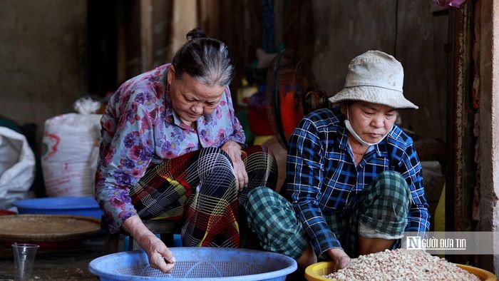 Nghề ép dầu phụng còn tạo việc làm thời vụ cho nhiều lao động địa phương trong những tháng nông nhàn.