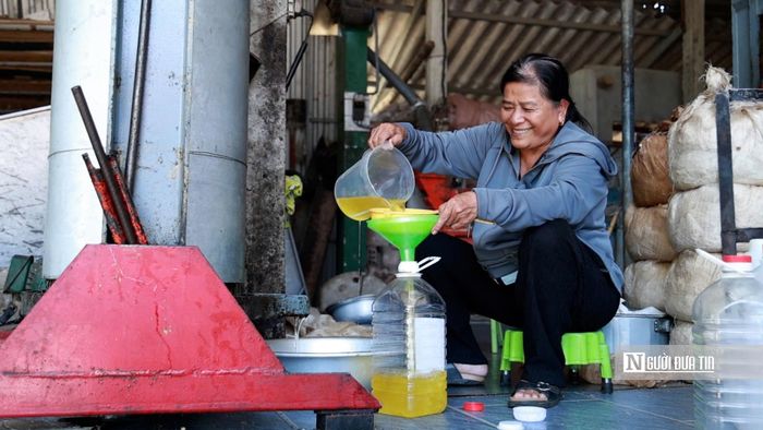 Để dầu được ngon, người làm nghề phải kiên nhẫn và tỉ mỉ từ khâu chọn nguyên liệu.