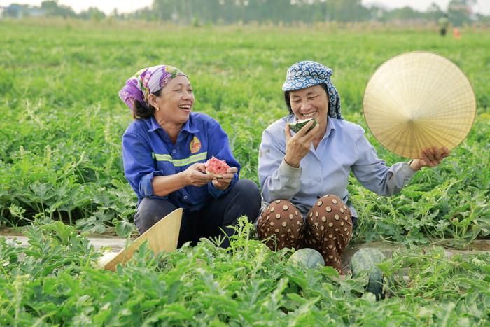 Vẻ đẹp lao động của những người nông dân Nghệ An. Ảnh: báo Nghệ An