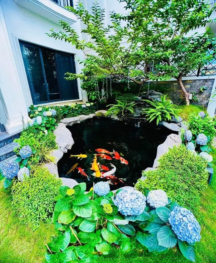 . Ở đây, Lã Thanh Huyền bố trí đường đi bằng đá, hồ cá koi và trồng nhiều loài cây, hoa rực rỡ, tạo nên một khu vườn vừa sang trọng vừa gần gũi
