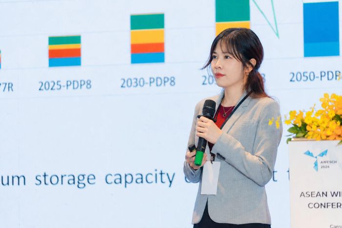 Bà Minh Nguyễn, Giám đốc Quốc gia tại Việt Nam của Liên minh Năng lượng toàn cầu (GEA).