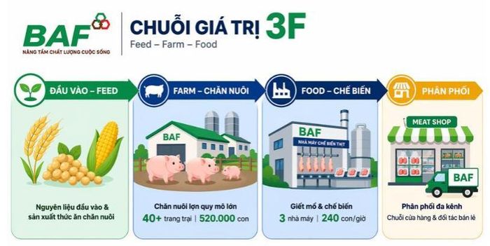 Chuỗi giá trị 3F của công ty đem lại hiệu quả rõ rệt