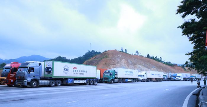 Hoạt động xuất nhập khẩu hàng hóa tại các cửa khẩu, đường chuyên dụng, lối thông quan trên địa bàn Lạng Sơn diễn ra bình thường. Ảnh minh họa.