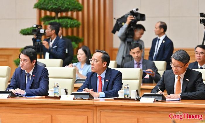 Thứ trưởng Bộ Công Thương Nguyễn Hoàng Long cùng đại diện Chính phủ Việt Nam tại hội đàm.