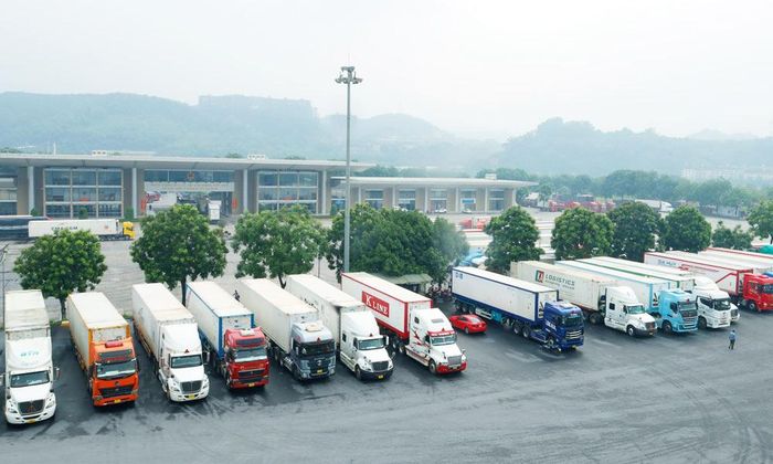  Phương tiện xuất khẩu quả vải tươi được bố trí khu vực đỗ xe riêng. 