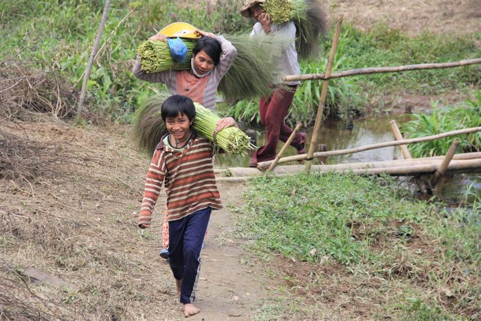 Sản vật miền núi theo mùa trở thành món đồ trao đổi mắm muối, cá biển. Ảnh: ALĂNG NGƯỚC
