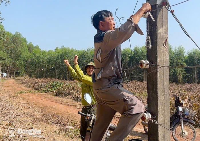 Các đơn vị chức năng thực hiện nhiệm vụ kiểm tra, bảo trì định kỳ hàng rào điện tử.