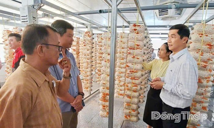 TS. Trần Đức Tường giới thiệu về mô hình trồng nấm Vân Chi đỏ cho người dân.