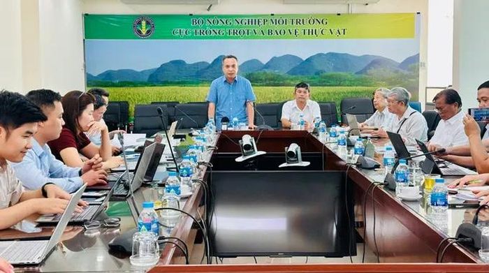 Quang cảnh hội nghị, chiều 8-6. Ảnh: BÍCH THANH