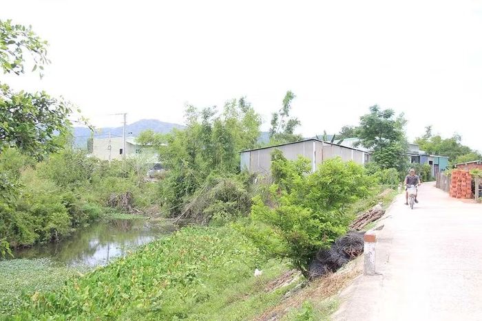 Hành lang thoát lũ trên sông Cát, đoạn qua xã Tuy Phước, bị lấn chiếm. Ảnh: Trọng Lợi