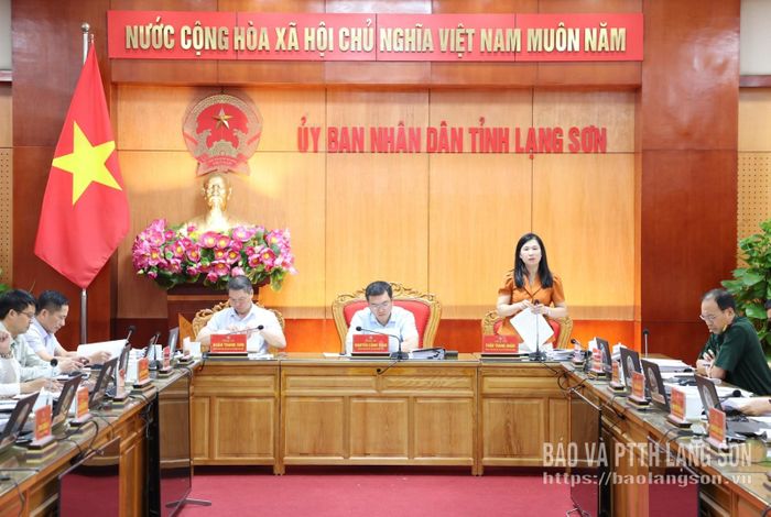 Đồng chí Trần Thanh Nhàn, Phó Chủ tịch UBND tỉnh phát biểu tại phiên họp