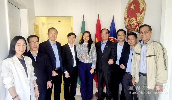Đoàn đại biểu tỉnh thăm và làm việc với với bà Marcelle Torres Alves Okuno - Lãnh sự danh dự Việt Nam tại thành phố Rio De Janeiro