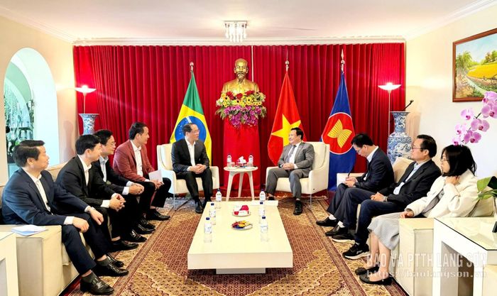 Đoàn đại biểu tỉnh thăm, làm việc với Đại sứ quán Việt Nam tại Brazil