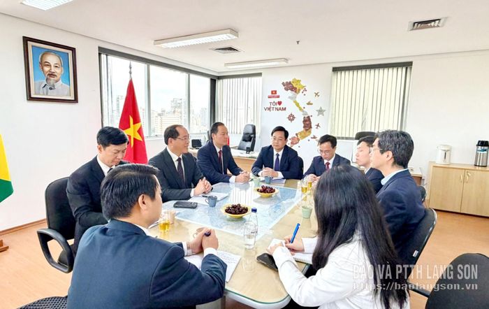 Toàn cảnh buổi gặp, làm việc giữa Đoàn đại biểu tỉnh với ông Victor Key, Chủ tịch Phòng Thương mại Việt Nam - Brazil
