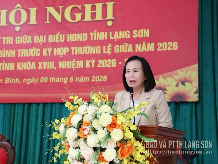 Đồng chí Đoàn Thị Hậu, Phó Bí thư Thường trực Tỉnh ủy, Chủ tịch HĐND tỉnh phát biểu tại hội nghị