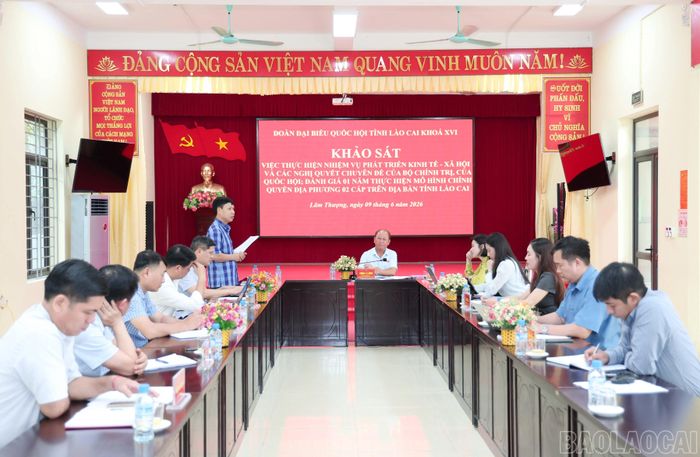 Quang cảnh buổi khảo sát.