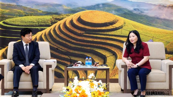 Đồng chí Phó Chủ tịch UBND tỉnh nêu một số đề nghị với Quỹ FAD.