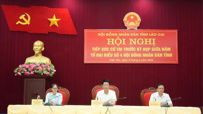 Tổ đại biểu số 4 HĐND tỉnh.