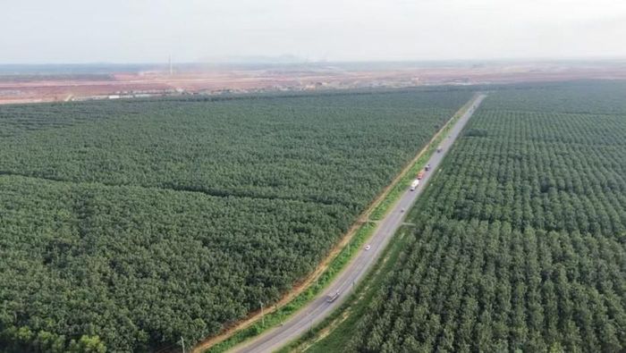 Đường 769 đoạn qua sân bay Long Thành dự kiến sẽ được nâng cấp mở rộng. Ảnh: TTXVN