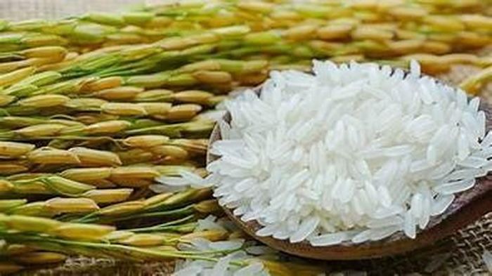 Thị trường lúa gạo tại khu vực Đồng bằng sông Cửu Long ổn định trong ngày 9/6