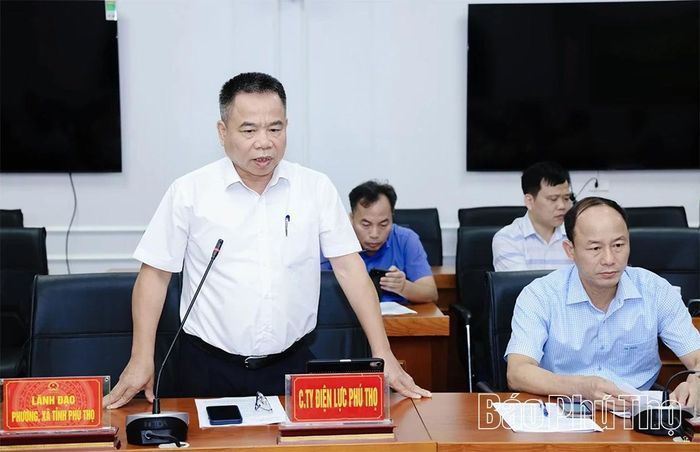 Lãnh đạo Công ty Điện lực Phú Thọ phát biểu tại hội nghị.