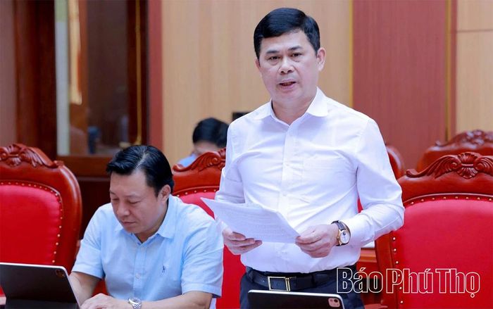 Giám đốc Sở Nội vụ Trần Việt Cường trình bày phương án tổng thể sắp xếp, đổi tên thôn, tổ dân phố trên địa bàn tỉnh.